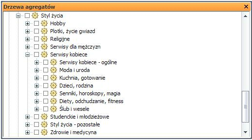 [img] Podkategorie kategorii STYL ŻYCIA w drzewku tematyczno-funkcjonalnym szczeg&oacute;łowym